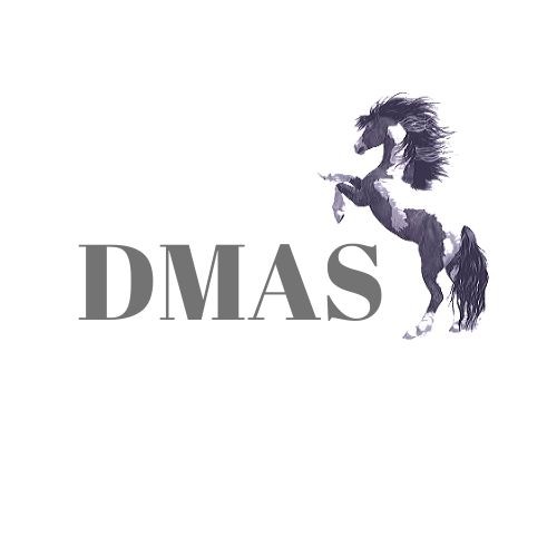 Digital Marketing Ads Service - DMAS - Logo